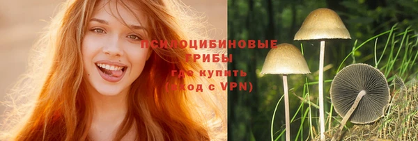 дживик Белоозёрский