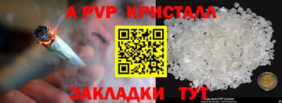 гашик Тара