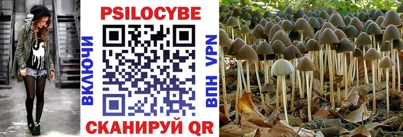 Галлюциногенные грибы Cubensis  хочу наркоту  Маркс 