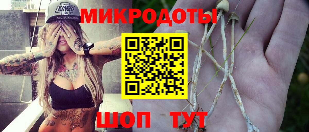 Галлюциногенные грибы GOLDEN TEACHER  Вход с VPN  Маркс  закладка  Галлюциногенные грибы Magic Shrooms 