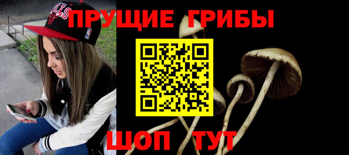Псилоцибиновые грибы Psilocybe Маркс